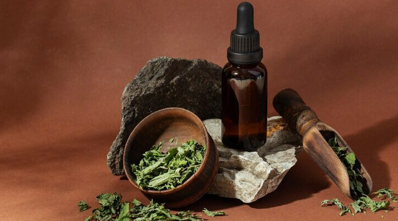 Aromatherapy Oils for Daily Routine